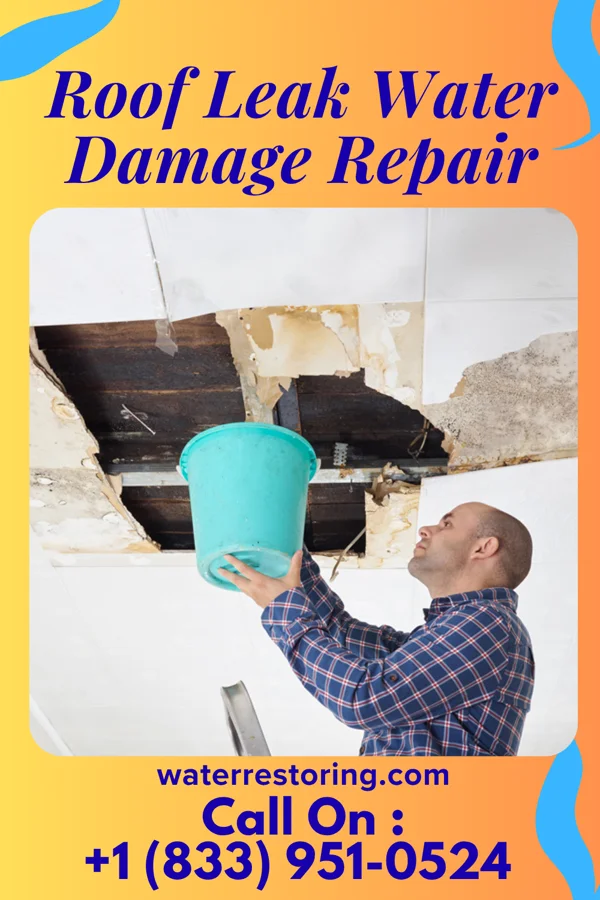 Roof Leak Water Damage Repair in Black River Falls, WI