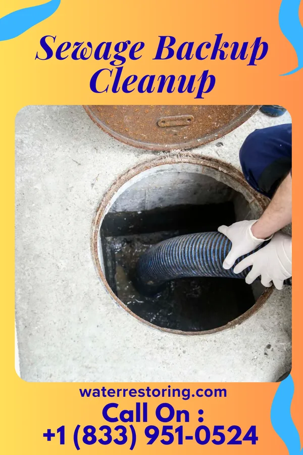 Sewage Backup Cleanup in Black River Falls, WI