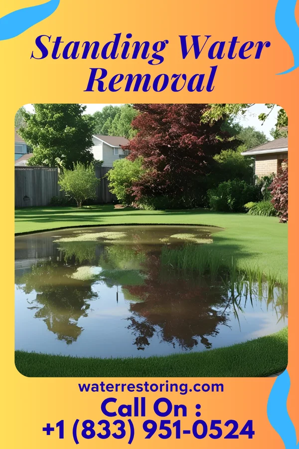 Standing Water Removal in Black River Falls, WI